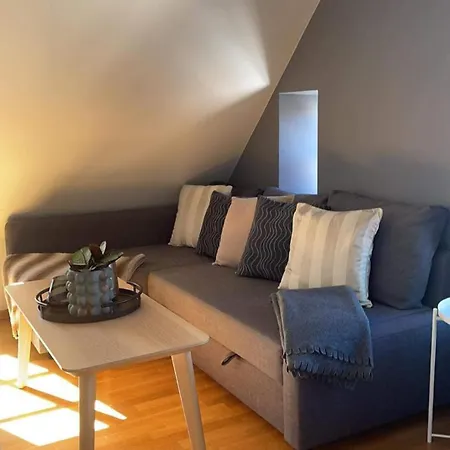 Apartment Urban With Rooftop Terrace